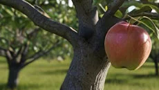 Challengers (1991) - дата виходу для Commodore 64