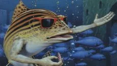 Fish - дата виходу для Atari ST