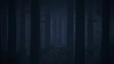 Image - дата виходу для PC-98