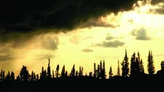 Company of Heroes: Opposing Fronts схожа на Company of Heroes: Opposing Fronts