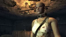 Fallout: New Vegas - доповнення для Fallout: New Vegas