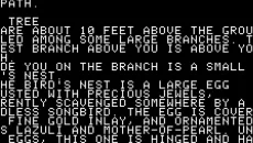 Zork: The Great Underground Empire - дата виходу для Amstrad CPC
