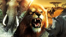 Cabela's African Adventures - дата виходу для Wii