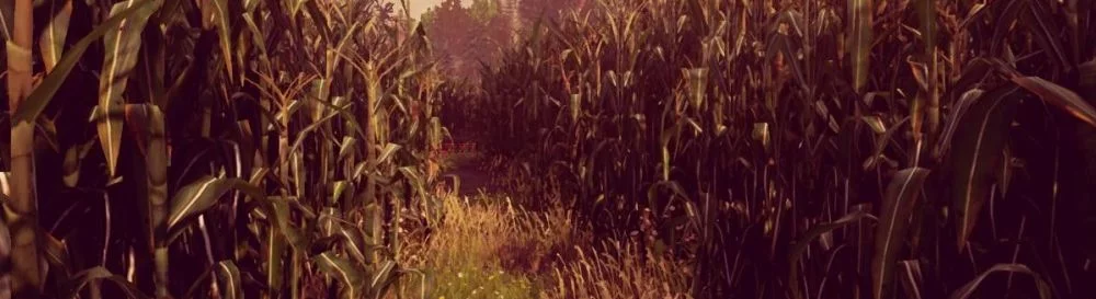 Усі відгуки та оцінки Maize — 1 думка