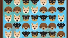 Jungle Collapse 2 схожа на Jungle Collapse 2