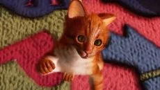 Super Cat Simulator схожа на Super Cat Simulator