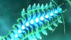 Sparkle схожа на Sparkle