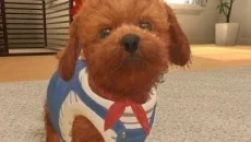 Little Friends: Dogs & Cats - дата виходу