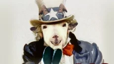 Goat of Duty - дата виходу