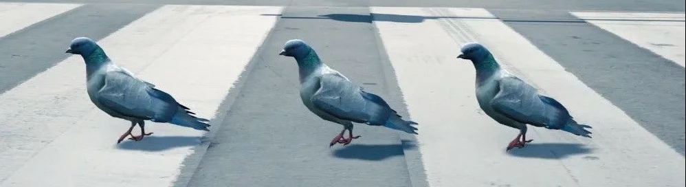 Найкращі ігри для Android, схожі на Pigeon Simulator