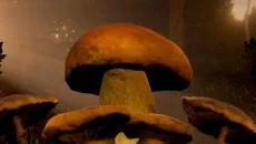 Trans-Siberian Railway Simulator схожа на Trans-Siberian Railway Simulator