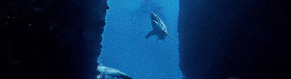 Форум Submersed