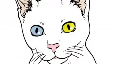 Max and Maya: Cat simulator схожа на Max and Maya: Cat simulator