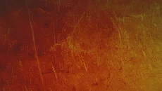 Zolaris схожа на Zolaris