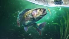 Ultimate Fishing Simulator 2 - дата виходу для PC