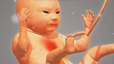 9 Months - дата виходу