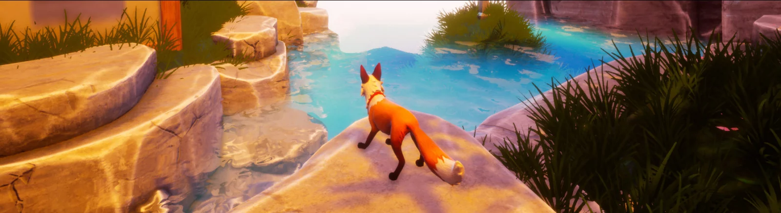 Дата виходу Zenko: A Fox's Tale у різних країнах світу