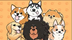 Lucky Puppy - дата виходу для Android