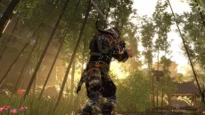 Shadow the Ronin: The Revenge - дата виходу