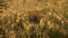 Ronin Trail - дата виходу для PC