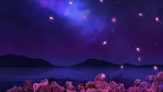 People Playground схожа на People Playground