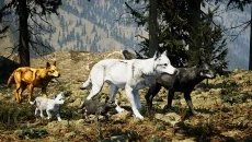 The Cenozoic Era - дата виходу