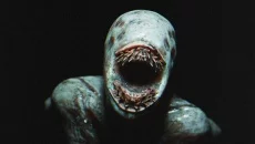 Passed Out - дата виходу