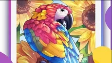 ColorMe - Painting Book - дата виходу