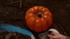 Hallowed Pumpkins - дата виходу для PC