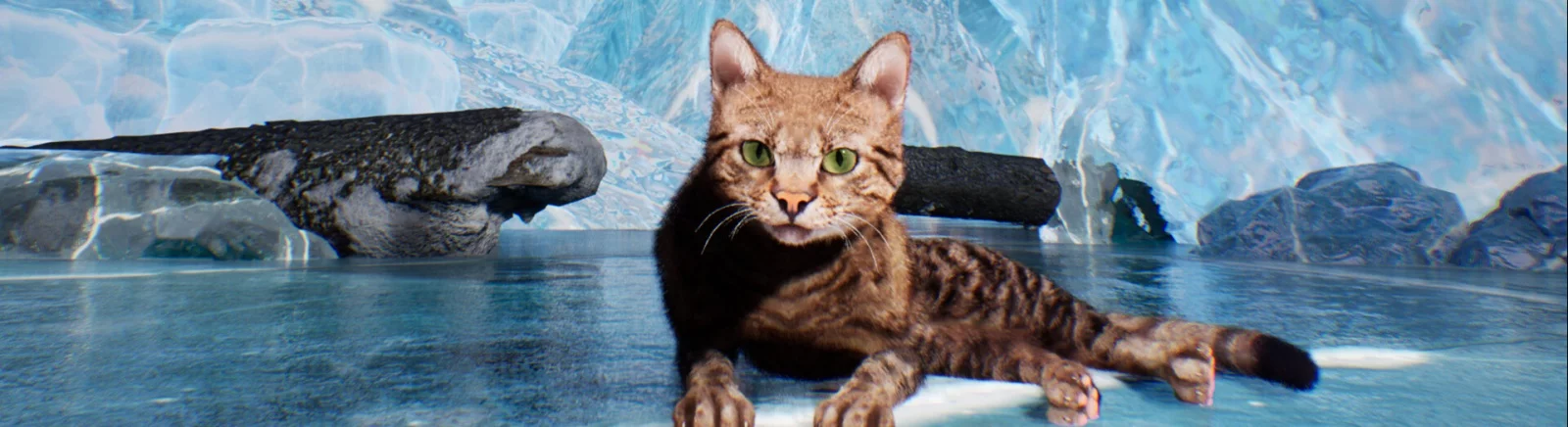 Усі відгуки та оцінки Super Cat Simulator — 0 думок