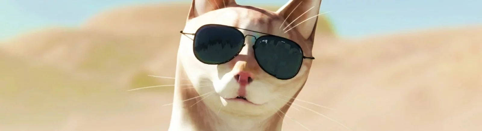 Форум Simba The Cat