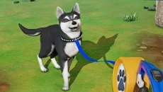 My Dog Life: Puppy Island Park - дата виходу для iOS