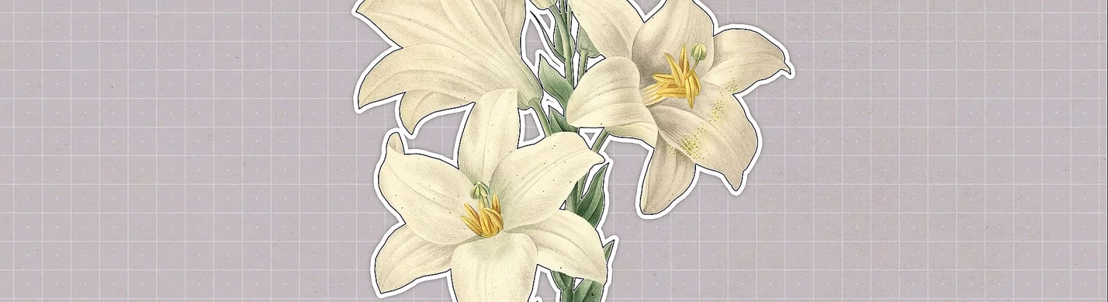 Plants Huddled Together - останні новини сьогодні (вересень 2025) - злом захисту, системні вимоги, новини оновлень, де завантажити гру, трейлер