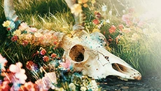 A Quiet Place: The Road Ahead схожа на A Quiet Place: The Road Ahead