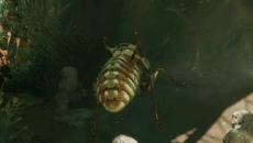 MOLD - дата виходу для Windows 3.x