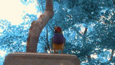 Wanderness - дата виходу для Windows 3.x