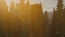 Fly Bird Obstacle 3D - дата виходу