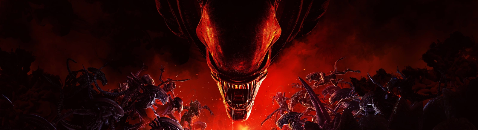 Дата виходу Aliens: Fireteam Elite 2 у різних країнах світу