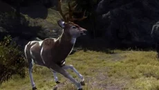 Cabela's Big Game Hunter 2012 - дата виходу для Wii