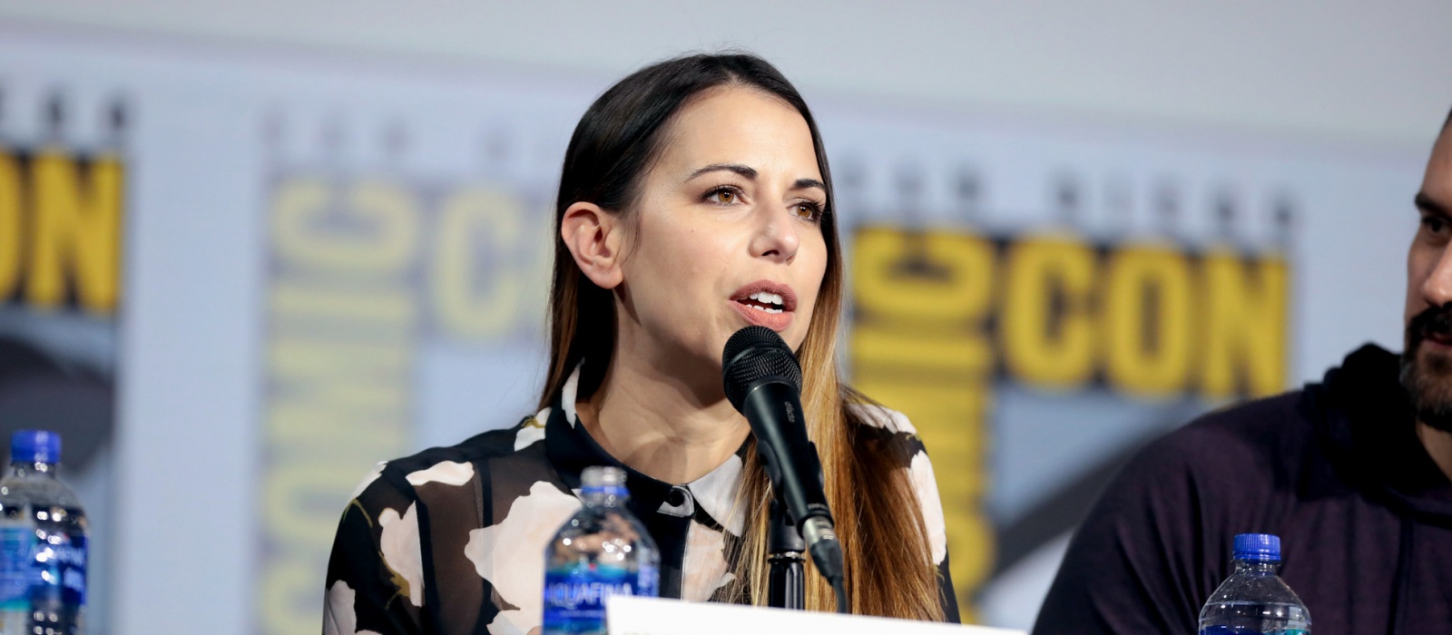 Лора Бейлі - останні новини, статті та інші матеріали